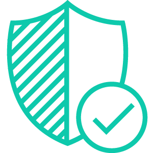 Network Security Icon